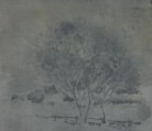 Arbres