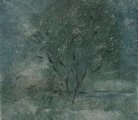 Arbres