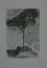 Arbres