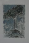 Arbres
