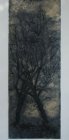 Arbres
