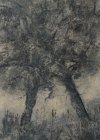 Arbres