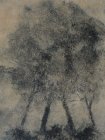 Arbres