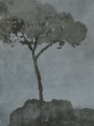 Arbres