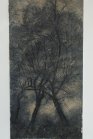 Arbres