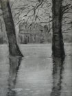 Arbres